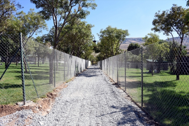 Malatya'da hayvanat bahçesinde sona gelindi